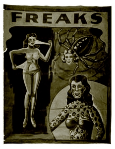 Freaks of the Midway